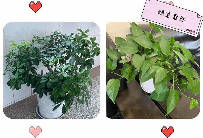 15611021134295.jpg 微信圖片_20190618171149.jpg